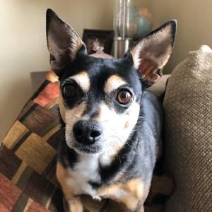 Meet your Posher, Beth